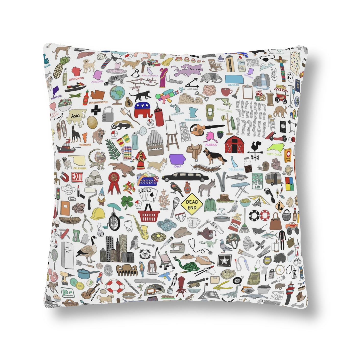 NEED TO EDIT IMAGES- ISPY OUTDOOR PILLOWS -WATERPROOF - ULTIMATE PART 1