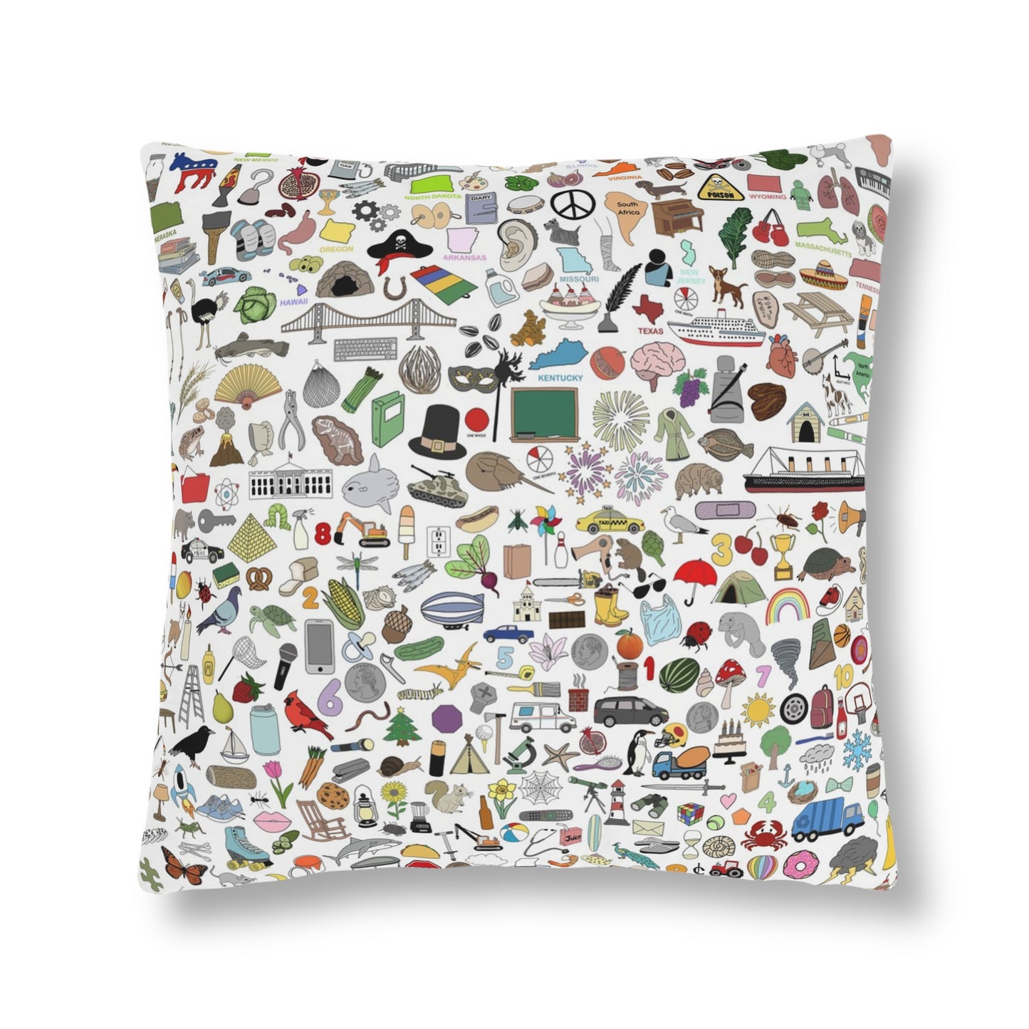 NEED TO EDIT IMAGES- ISPY OUTDOOR PILLOWS -WATERPROOF - ULTIMATE PART 1