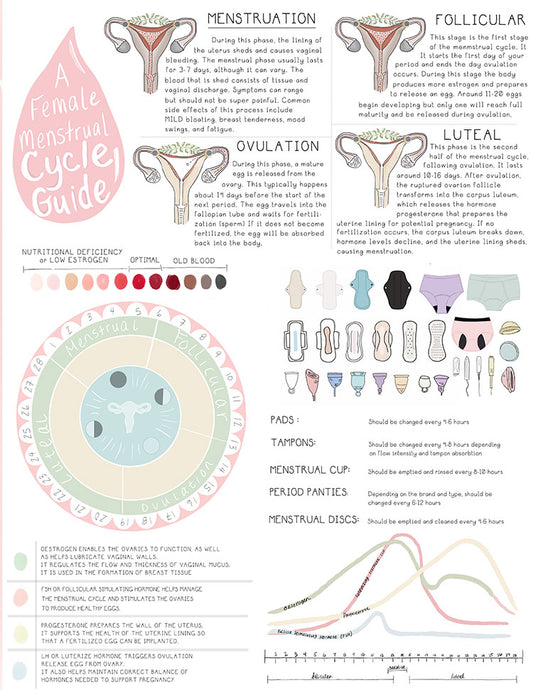 menstrual download img