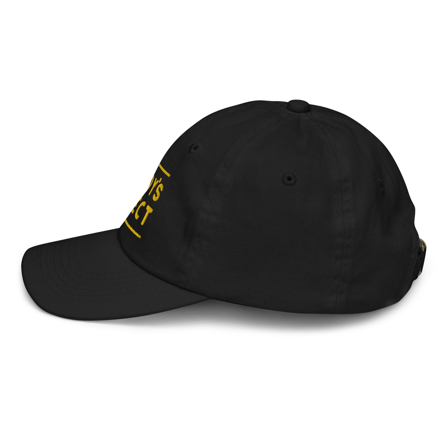 "POBODY'S NERFECT" YOUTH HAT